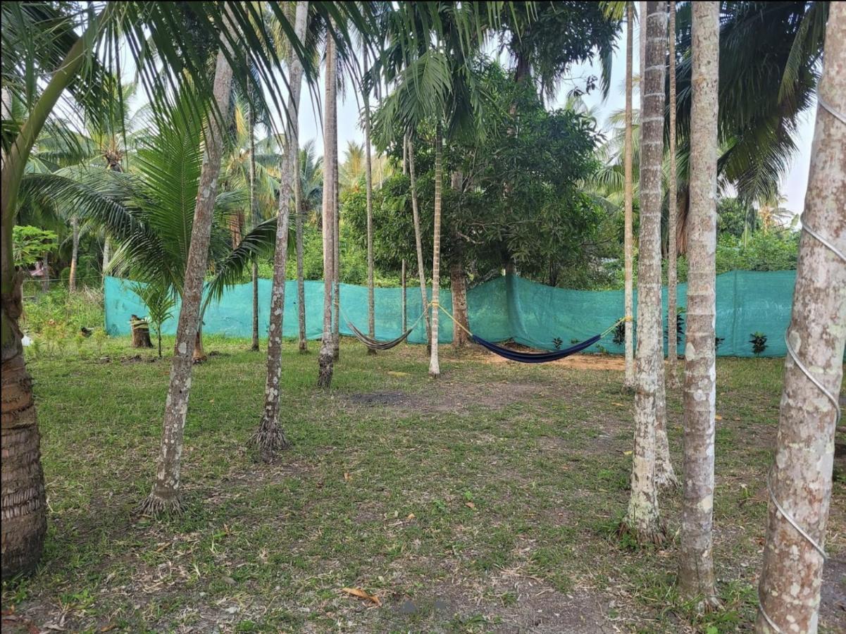 Sitapur Blue Lagoon Resort, Neil Island מראה חיצוני תמונה